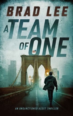 [Unsanctioned Asset 01] • A Team of One
